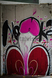 Street Art Penis in Plovdiv