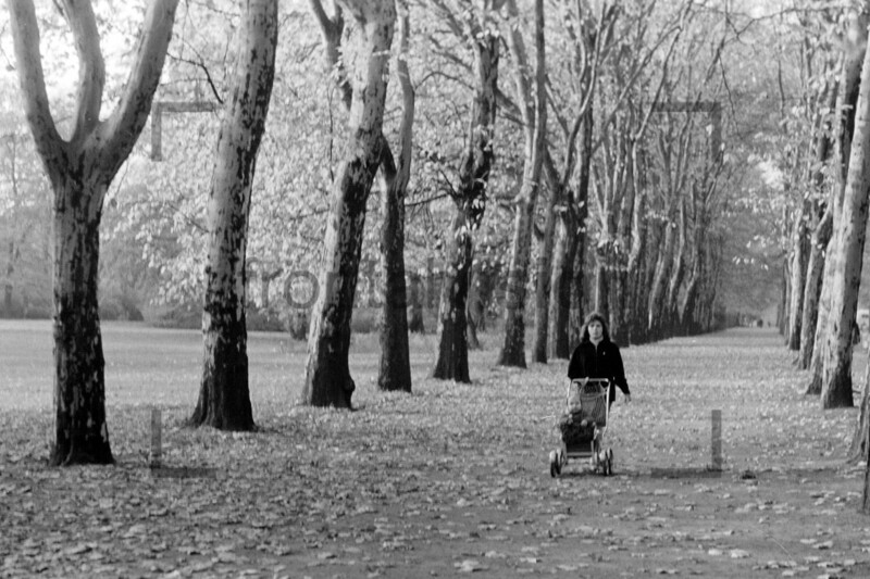 Treptower Park Herbst Ostberlin 1963 