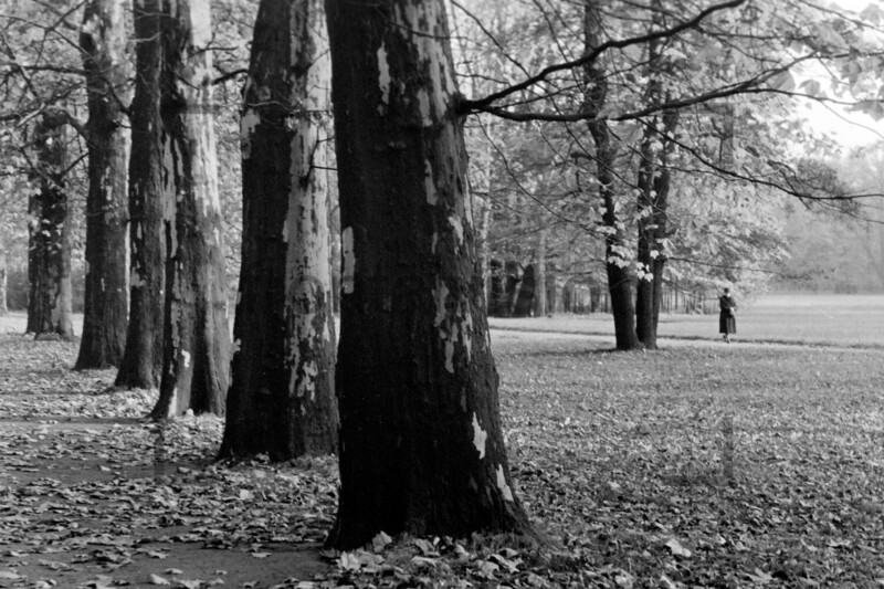Treptower Park Herbst Ostberlin 1963 