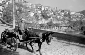 Man with a donkey cart and carriage - Historical Image