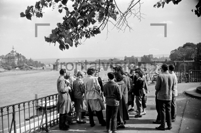 Brühlsche Terrasse Dresden Elbe 1956 