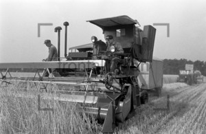 Combine harvester on a field: Historical image