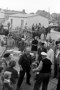 Fischer mit Fang im Hafen von Vitte 1956