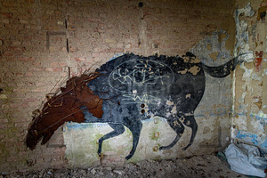 Tier Graffiti Heilstätte Grabowsee - Lung sanatorium Grabowsee
