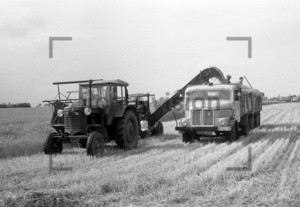 Erntehelfer 1961 | Seasonal worker 1961