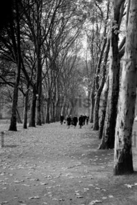 Treptower Park Herbst Ostberlin 1963