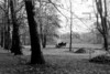 Laub sammeln Pferdekutsch Treptower Park Herbst Ostberlin 1963