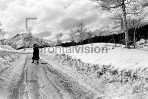 Seelfeld Winter 1956