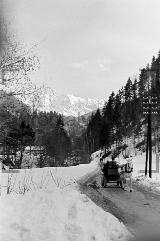Pferdekutsche bayerische Alpen 1956 
