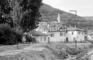 Old bulgaria village with mosque and horse cart
