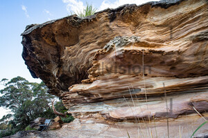 Pulpit Rock Cabbage Tree Point Bundeena Australia