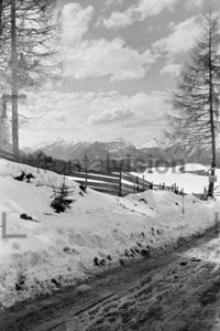 Seelfeld Winter 1956