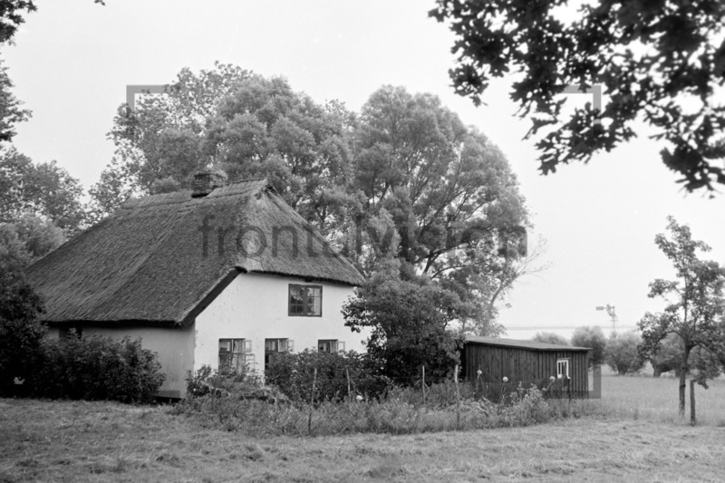 Haus mit Schilfdach auf Hiddensee 