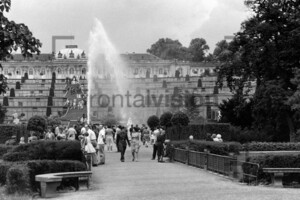 Gartenansicht Schloss Sanssouci Potsdam 1962