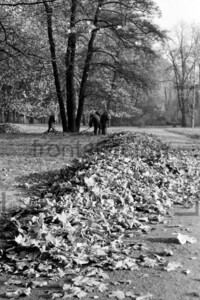Laubsammler Treptower Park Herbst Ostberlin 1963
