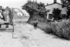 Fuhrwerk auf Hiddensee 1956