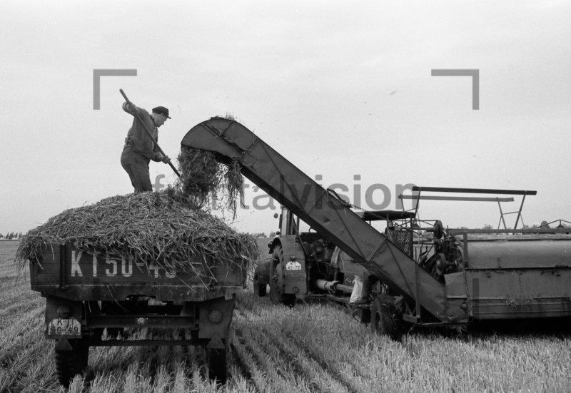 Erntehelfer 1961 | Seasonal worker 1961 
