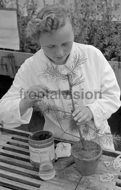 Maedchen pflanzt Baum | Woman planting tree 