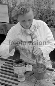 Maedchen pflanzt Baum | Woman planting tree