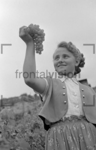Historical Image from the Grape Vintage.
