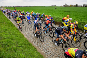 BITTNER Pavel: Dwars Door Vlaanderen 2023 - MenÂ´s Race