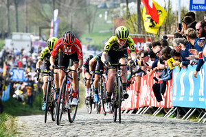 ELVIN Gracie: Ronde Van Vlaanderen 2019