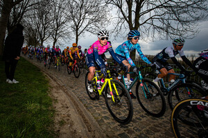 CONSONNI Chiara: Ronde Van Vlaanderen 2022 - WomenÂ´s Race