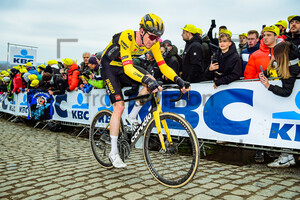 VAN HOOYDONCK Nathan: Ronde Van Vlaanderen 2023 - MenÂ´s Race