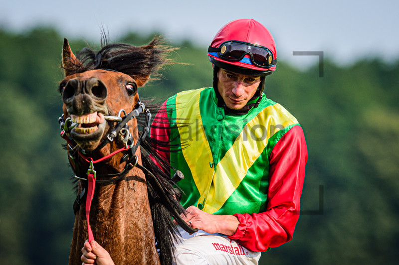 CADEDDU Michael: Horse Race Course Hoppegarten 