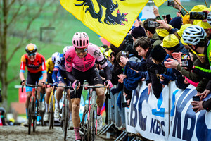 POWLESS Neilson: Ronde Van Vlaanderen 2023 - MenÂ´s Race