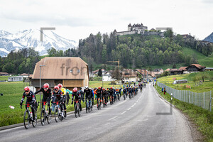 TUDOR PRO CYCLING TEAM: Tour de Romandie – 1. Stage