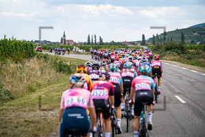 Peloton: Tour de France Femmes 2022 – 7. Stage