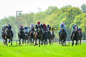 5. Race: 150 Years Horseracecourse Hoppegarten