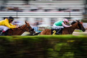 LECOEUVRE Clement: Horse Race Course Hoppegarten