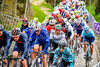 DECLERCQ Tim: Ronde Van Vlaanderen 2021 - Men