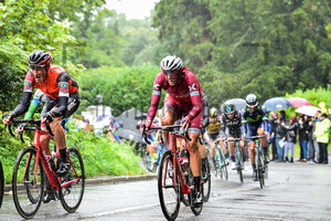 KUENG Stefan, POLITT Nils: Tour of Britain 2017 – Stage 8