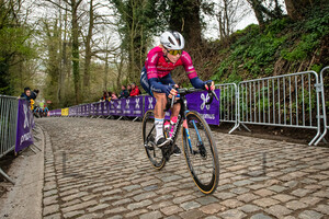 WIEBES Lorena: Ronde Van Vlaanderen 2023 - WomenÂ´s Race