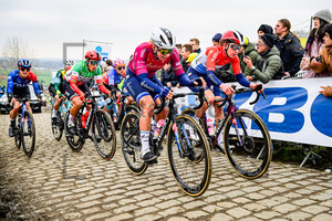WIEBES Lorena, MAJERUS Christine: Ronde Van Vlaanderen 2023 - WomenÂ´s Race
