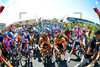 Starting Grid: Vuelta a Espana, 12. Stage, From Maella To Tarragona
