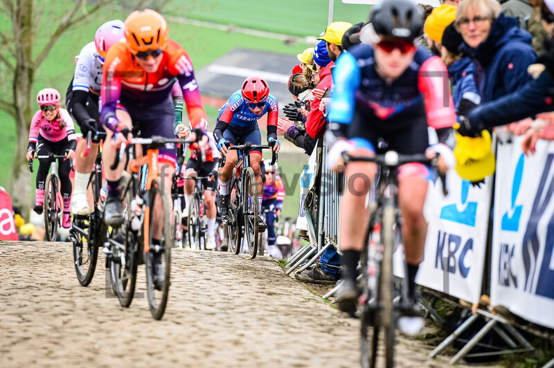 ARZUFFI Alice Maria: Ronde Van Vlaanderen 2023 - WomenÂ´s Race 