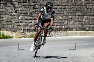 JIM Songezo: 99. Giro d`Italia 2016 - 14. Stage