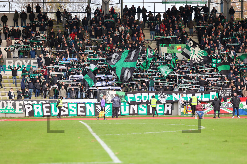 SC Preußen Münster Fans in Wattenscheid 26.11.2022Â  