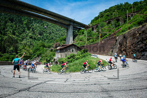 Swiss Cycling: Tour de Suisse - Men 2022 - 6. Stage