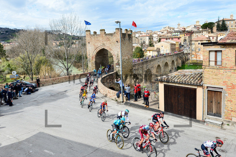 SAGAN Peter: Tirreno Adriatico 2018 - Stage 4 