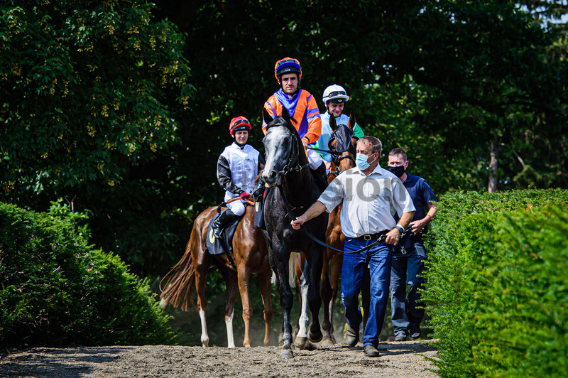 PECHEUR Maxim: Horse Race Course Hoppegarten 