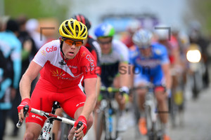 Romain Zingle: 98. Ronde Van Vlaanderen 2014