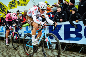 COSNEFROY Benoit: Ronde Van Vlaanderen 2023 - MenÂ´s Race