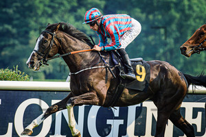 CASAMENTO Marco: Horse Race Course Hoppegarten