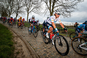 HANSON Lauretta: Ronde Van Vlaanderen 2022 - WomenÂ´s Race