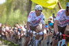 VAN AVERMAET Greg: Paris - Roubaix - MenÂ´s Race